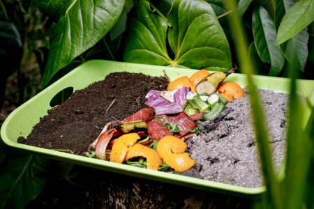 Compost y compostaje ciclo del suelo como una pila de compostaje de deshechos de cocina en descomposición con frutas y residuos de basura vegetal convirtiéndose en tierra fertilizante orgánica con una planta joven en crecimiento como un compuesto
.