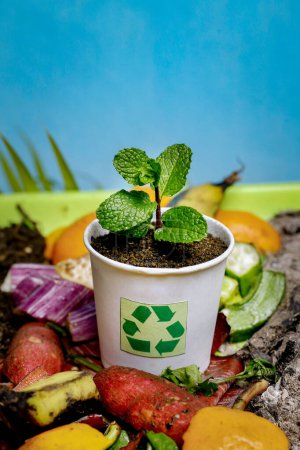 Compost y compostaje ciclo del suelo como una pila de compostaje de deshechos de cocina en descomposición con frutas y residuos de basura vegetal convirtiéndose en tierra fertilizante orgánica con una planta joven en crecimiento como compuesto. y Reciclar