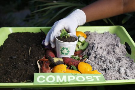 die Frauen, die bereit sind, Kompost und kompostierten Bodenkreislauf als Kompoststapel aus verrottenden Küchenabfällen mit Obst und Gemüseabfällen zu kompostieren, der sich in organische Düngererde verwandelt, in der eine wachsende junge Pflanze als Komposit wächst. und Recycling