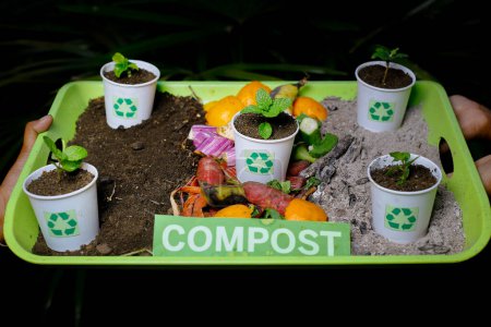 composted soil recycle on waste paper cups and waste vegetables