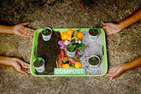Foto de Reciclar el suelo compostado en vasos de papel usado y vegetales usados - Imagen libre de derechos