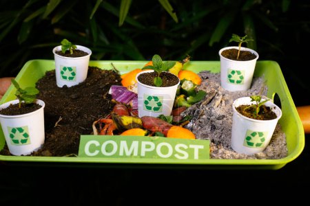 Foto de Reciclar el suelo compostado en vasos de papel usado y vegetales usados - Imagen libre de derechos