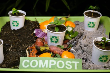 Foto de Reciclar el suelo compostado en vasos de papel de desecho y el cierre de verduras de desecho - Imagen libre de derechos