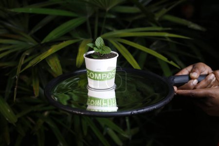 recycler le sol de compost avec de petites plantes suspendues femmes Fermeture