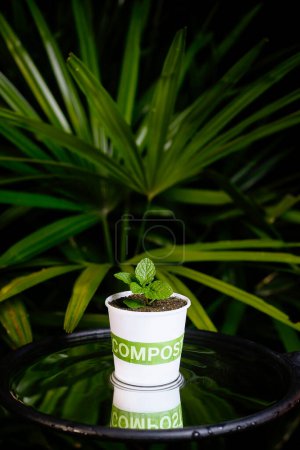 Foto de Reciclar tierra de compost con plantas pequeñas - Imagen libre de derechos