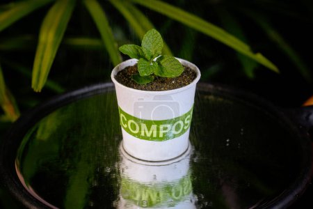 Foto de Reciclar tierra de compost con plantas pequeñas - Imagen libre de derechos