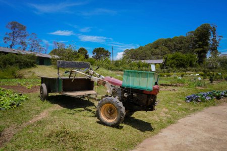 Old Farming Truck in The Vegitable Garden