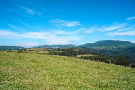 Ciel bleu et herbe verte forêt de Moon Plains Sri Lanka Nuwara Eliya Sri lanka