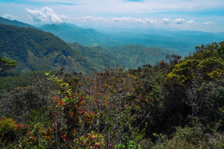 Wald der Mondebenen Sri Lanka Nuwara Eliya Sri lanka