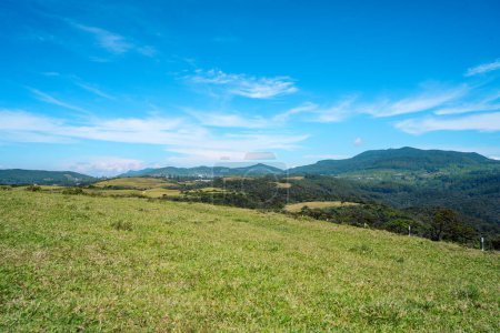Blauer Himmel und grüner Graswald der Mondebenen Sri Lanka Nuwara Eliya Sri lanka