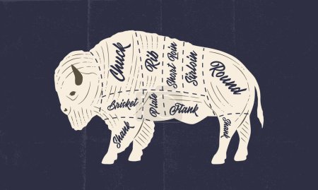 Téléchargez les illustrations : Bison, carte des viandes Buffalo. Affiche de boucherie avec découpes de viande de bison et texture artisanale en papier. Schéma de viande de boucher vintage. Illustration vectorielle - en licence libre de droit