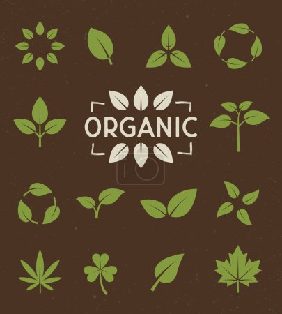 Illustration for Vector Eco, organic icons set. Biodegradable, compostable, recycle concept. Leaf icons isolated on brown background. 14 Leaves icons for logo, badge, label design. Go green, Sustainable environment. - Royalty Free Image