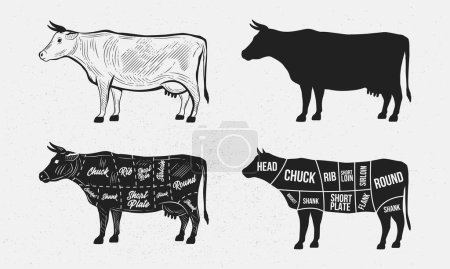 Téléchargez les illustrations : Vache, ensemble de boeuf. Silhouette de vache. Modèle de diagramme boeuf-boucher. Des morceaux de bœuf. Affiche vintage pour épicerie, boucherie, magasin de viande. Illustration vectorielle - en licence libre de droit
