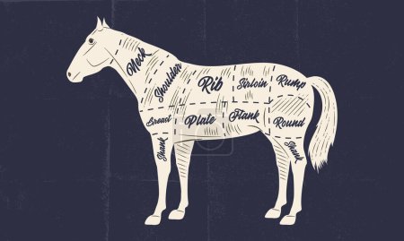 Téléchargez les illustrations : Carnet de viande de cheval. Affiche de boucherie avec découpes de viande de cheval et texture artisanale en papier. Schéma de viande de boucher vintage. Illustration vectorielle - en licence libre de droit