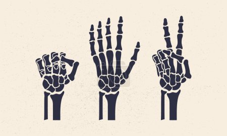 Illustration for Rock, scissors, paper gestures. Skeleton hands set isolated on white background. Rock, scissors, paper icons. Vector illustration - Royalty Free Image