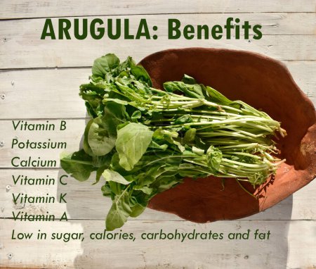 Photo for Top view of green arugula with description of benefits of arugula - Royalty Free Image