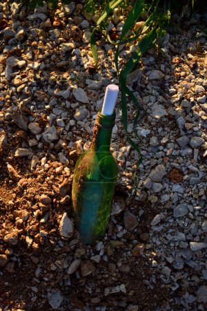 Foto de Una botella medio enterrada en el suelo con un papel doblado que sobresale de ella - Imagen libre de derechos