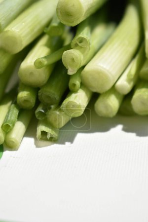 Foto de Puntas de cebolla verde en una tabla de cortar blanco - Imagen libre de derechos