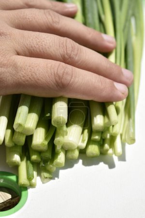 Foto de Mujer mano en las puntas de cebolla verde en una tabla de cortar blanco - Imagen libre de derechos