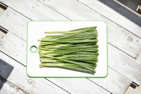 Photo for Bunch of green onion on white background - Royalty Free Image