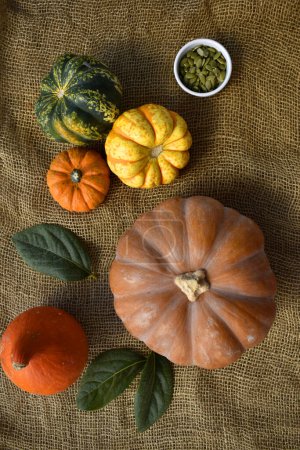 Photo for Different types of pumpkins on the background of burlap - Royalty Free Image