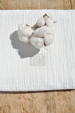Foto de Flores de algodón fresco en tela blanca, vista superior - Imagen libre de derechos
