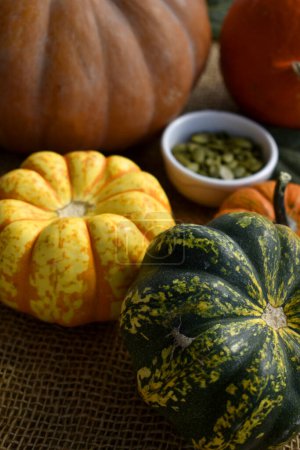 Photo for Still life with yellow and green pumpkins with bowl of pumkin seeds - Royalty Free Image