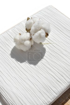 Flores de algodón sobre tela blanca