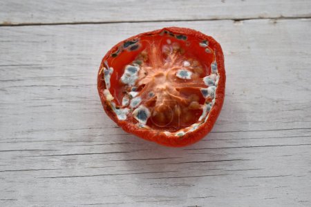 Hälfte einer Tomate mit Schimmel bedeckt