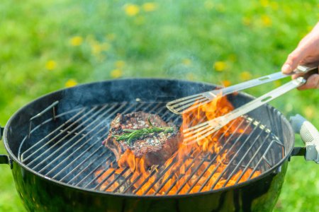 Photo for Delicious, juicy sirloin roasting on a traditional black grill, with a lot of fire in the grill. There is a lush green lawn with dandelions in the background. A hand reaches in to grab the steak with a grill tong. There is rosemary on the steak - Royalty Free Image