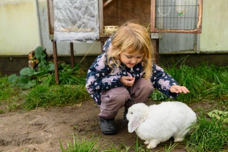 Foto de Niña pequeña y linda acariciando a un conejo dulce y blanco al aire libre, en una granja. Es un día soleado de otoño, y la chica lleva chaqueta termo y pantalones - Imagen libre de derechos