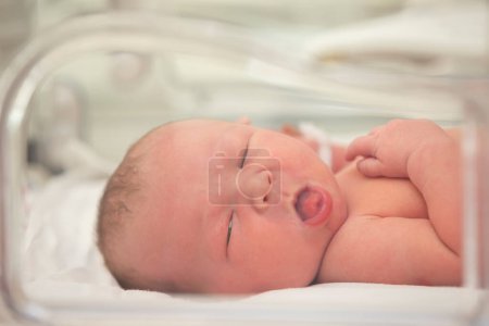 Newborn baby in a medical infant incubator.