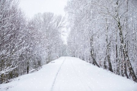 Téléchargez les photos : Paysage hivernal. Forêt enneigée et une route au loin. - en image libre de droit