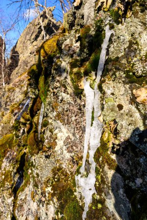 Photo for South Ural icicles with a unique landscape, vegetation and diversity of nature in spring. - Royalty Free Image