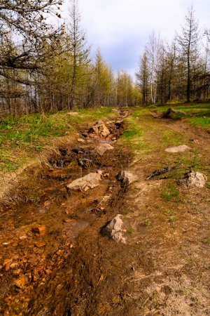 Photo for South Ural rough stream with a unique landscape, vegetation and diversity of nature in spring. - Royalty Free Image