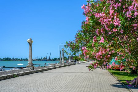 Sukhumi, Abkhazia, Georgia - July 22, 2022: City embankment on a summer sunny day.