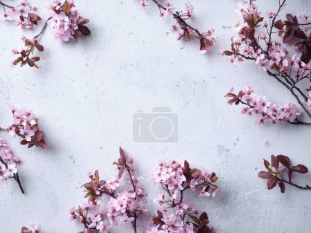 Photo for Cherry blossoms on concrete background. Flatlay with space for text. Spring mood concept - Royalty Free Image
