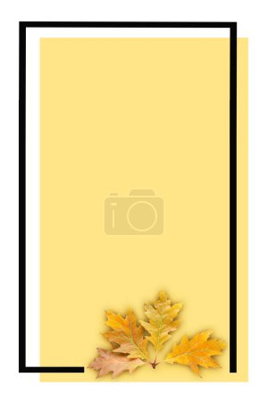 Téléchargez les photos : Boîte de titre rectangulaire jaune avec feuilles sèches d'automne.Fond d'automne avec espace libre pour le texte. - en image libre de droit