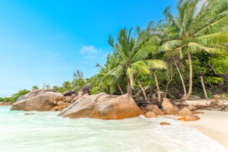 Téléchargez les photos : La célèbre plage d'Anse Lazio par une journée ensoleillée. Île de Praslin, Seychelles - en image libre de droit