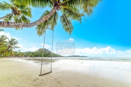 Téléchargez les photos : Balancez sur un palmier au bord de la mer à Anse Volbert. Île de Praslin, Seychelles - en image libre de droit