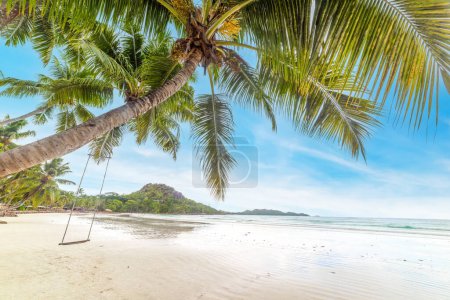 Téléchargez les photos : Palmiers à Anse Volbert plage par une journée ensoleillée. Île de Praslin, Seychelles - en image libre de droit