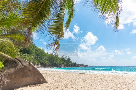 Téléchargez les photos : Rochers de granit et de palmiers à Anse Intendance plage. Île de Mahe, Seychelles - en image libre de droit