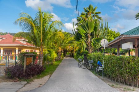 Photo for Narrow street in La Digue under a blue sky, Seychelles - Royalty Free Image