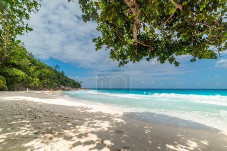 Türkisblaues Wasser am Strand von Anse Georgette. Insel Praslin auf den Seychellen