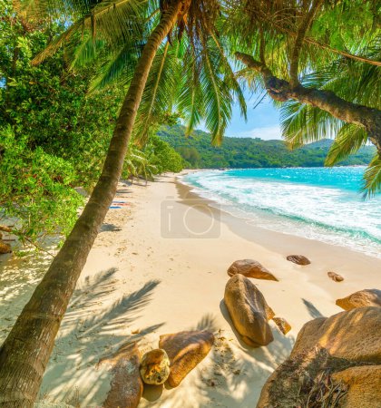 Téléchargez les photos : Palmiers et rochers dans l'Anse Lazio de renommée mondiale à l'île de Praslin, Seychelles - en image libre de droit
