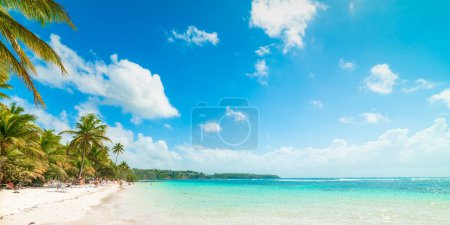 Foto de Cielo azul sobre la playa de La Caravelle en Guadalupe, Indias occidentales francesas. Antillas Menores, Mar Caribe - Imagen libre de derechos