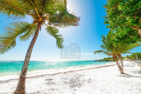 Foto de Pasas Clairs playa bajo un sol brillante en Guadalupe, las Indias Occidentales francesas. Antillas Menores, Mar Caribe - Imagen libre de derechos