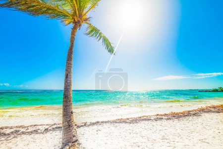 Foto de Pasas Clairs playa en Guadalupe en un día soleado, las Indias Occidentales francesas. Antillas Menores, Mar Caribe - Imagen libre de derechos