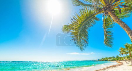 Foto de Sol brillando sobre las pasas Playa Clairs en Guadalupe, Indias occidentales francesas. Antillas Menores, Mar Caribe - Imagen libre de derechos