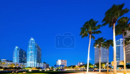 Palmeras y rascacielos en Curtis Hixon parque frente al mar en Tampa por la noche. Florida, Estados Unidos
